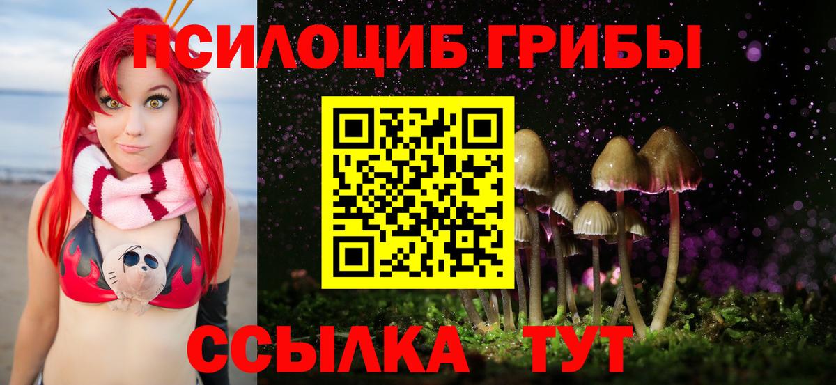 Сердобск  Галлюциногенные грибы Psilocybe  Вход с VPN 