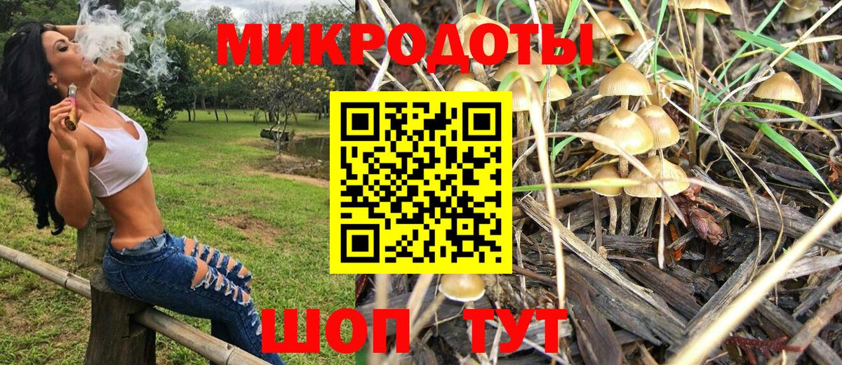 Псилоцибиновые грибы Magic Shrooms Сердобск